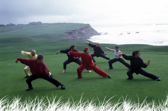 Harvard Medical School Guide To Tai Chi