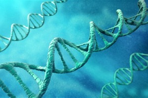 meditation and dna