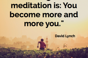 Meditation quote - David Lynch