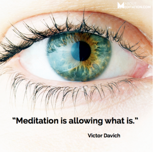 Meditation quote - allowing what is