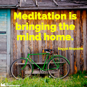 Meditation quotes - Rinpoche - mind