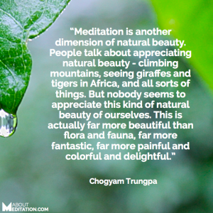 Meditation quotes - natural beauty