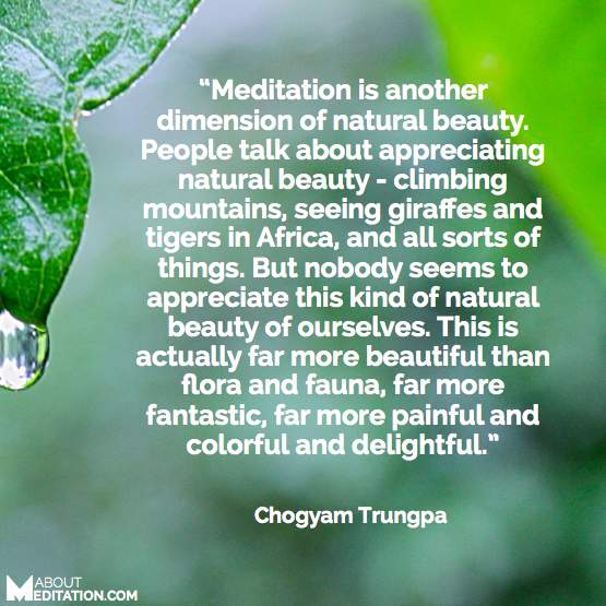 meditation quotes - natural beauty