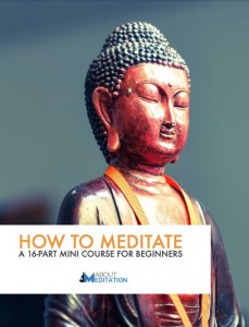 How to Meditate ebook