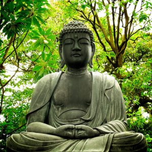 OM 008: How To Turn Meditation Into A Keystone Habit