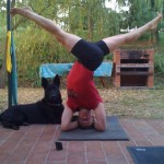 MD.Headstand