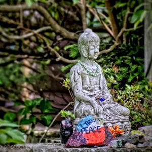 OM027: How To Manage Grief And Emotional Pain During Meditation