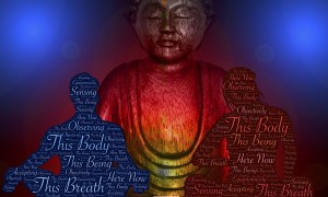 what is transmission meditation