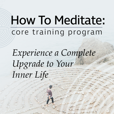 How to Meditate: Core Training Program