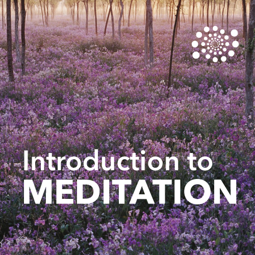 Intro to Meditation