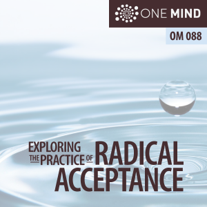 OM088 – Exploring the Practice of Radical Acceptance with Morgan Dix