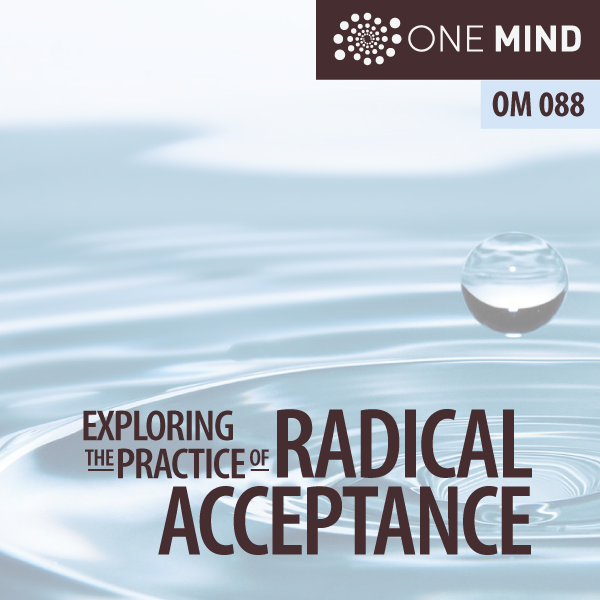 OM088 - Exploring the Practice of Radical Acceptance with Morgan Dix