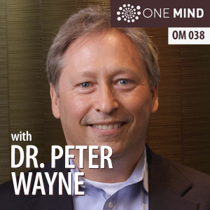 OM038: Harvard’s Guide To Tai Chi with Dr. Peter Wayne
