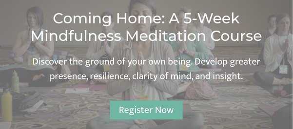 Coming Home Mindfulness Meditation Training